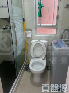 葵星中心 B座 - 28NTS – 香港北部都會區