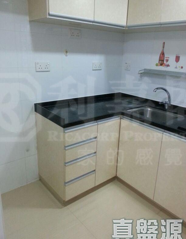 葵星中心 B座 - 28NTS – 香港北部都會區