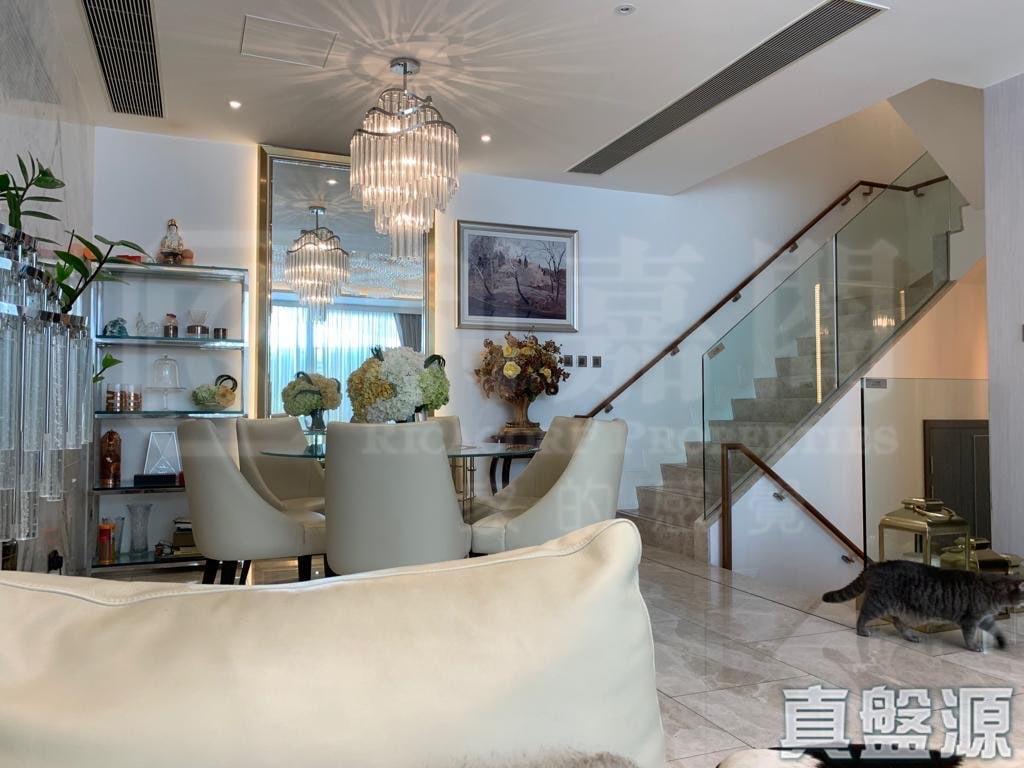 娉廷 - 28NTS – 香港北部都會區