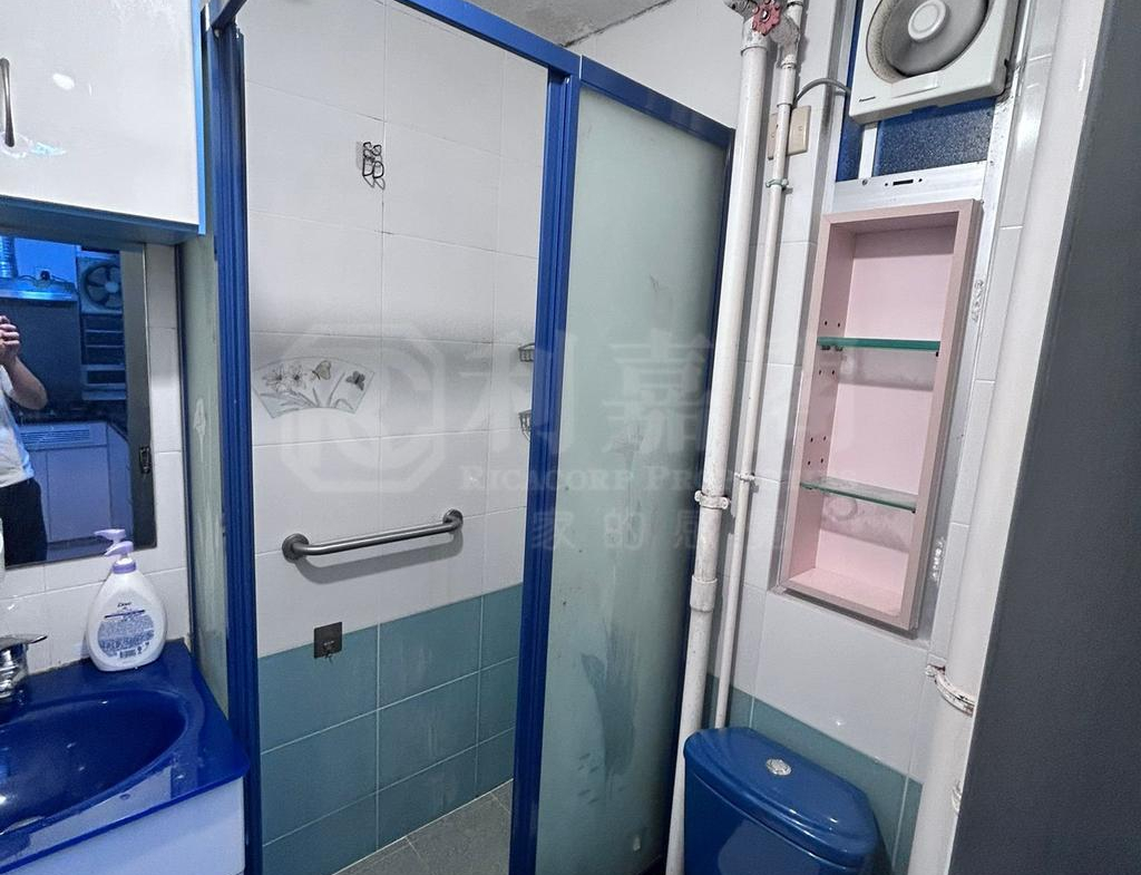 豐盛苑 富盛閣 (C座) - 28NTS – 香港北部都會區