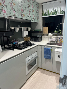 嘉熙 5座 - 28NTS – 香港北部都會區