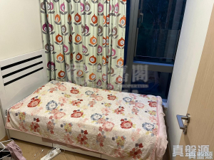 天鑽 8座 - 28NTS – 香港北部都會區