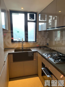 柏傲莊 1期 2座 (2A) - 28NTS – 香港北部都會區