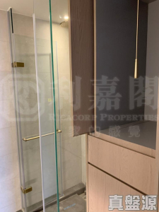 柏傲莊 1期 2座 (2A) - 28NTS – 香港北部都會區