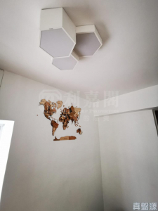 17596697817fff9660-677d-4da9-b166-d6512b4dbeda.jpeg 沙田第一城 4期 44座 - 28NTS – 香港北部都會區