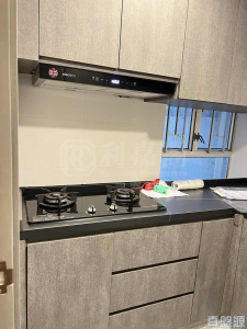 175967058869094477-82f0-48fc-9905-120cc4458d4b.jpeg 翠麗花園 4座 - 28NTS – 香港北部都會區