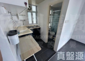 好運中心 棕林閣 (B1座) - 28NTS – 香港北部都會區