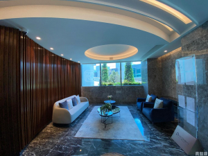 駿嶺薈 - 28NTS – 香港北部都會區