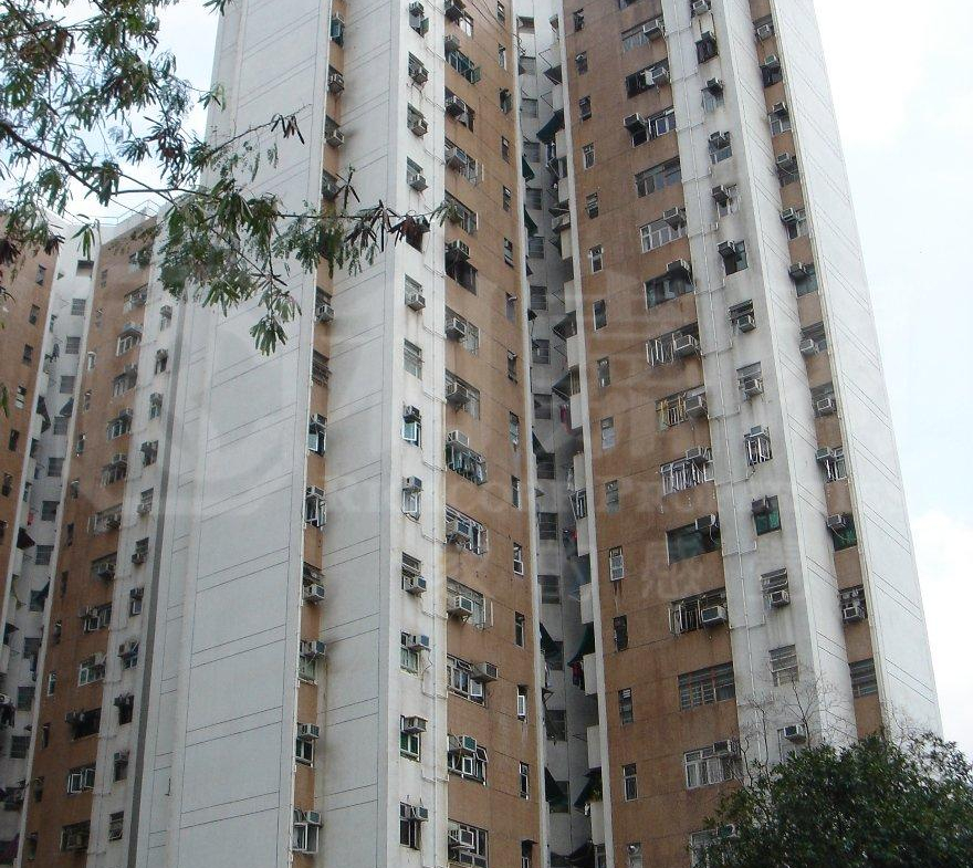 旭埔苑 秦湖閣 (H座) - 28NTS – 香港北部都會區