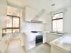 沙田/火炭/九肚山 - 28NTS – 香港北部都會區