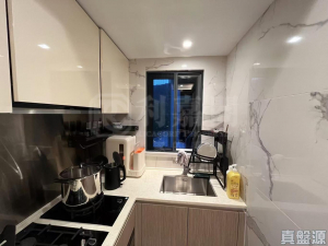 天鑽 17座 - 28NTS – 香港北部都會區