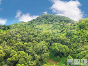 天鑽 8座 - 28NTS – 香港北部都會區