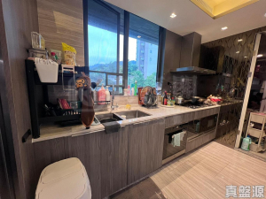 富豪‧山峯 - 28NTS – 香港北部都會區