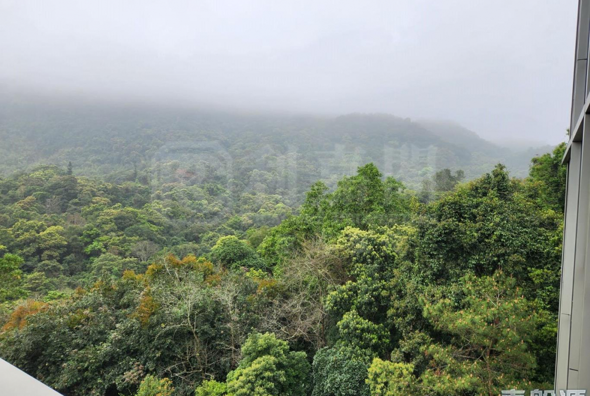 富豪‧山峯 - 28NTS – 香港北部都會區
