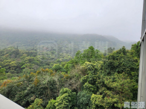 富豪‧山峯 - 28NTS – 香港北部都會區