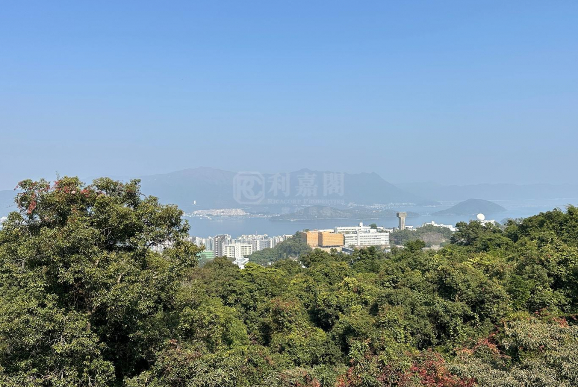 澐灃 2座 - 28NTS – 香港北部都會區