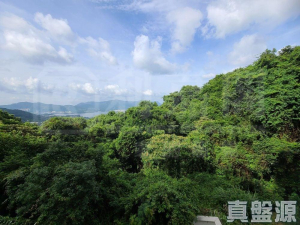 澐灃 3座 - 28NTS – 香港北部都會區