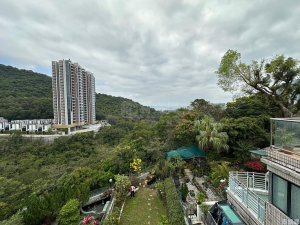 蔚麗山莊 - 28NTS – 香港北部都會區