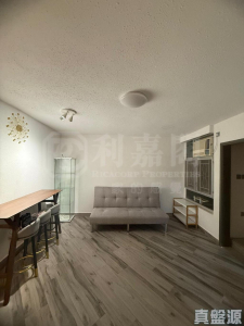 美城苑 逸城閣 (B座) - 28NTS – 香港北部都會區