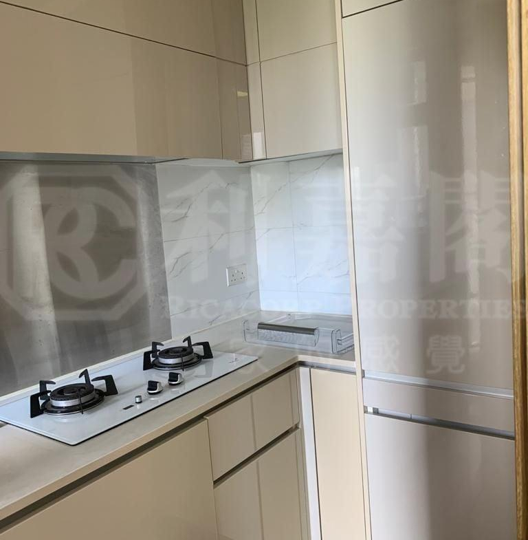 1759690075c07d2fbf-4121-445e-bf31-53e82ab86344.jpeg 尚悅 8座 - 28NTS – 香港北部都會區