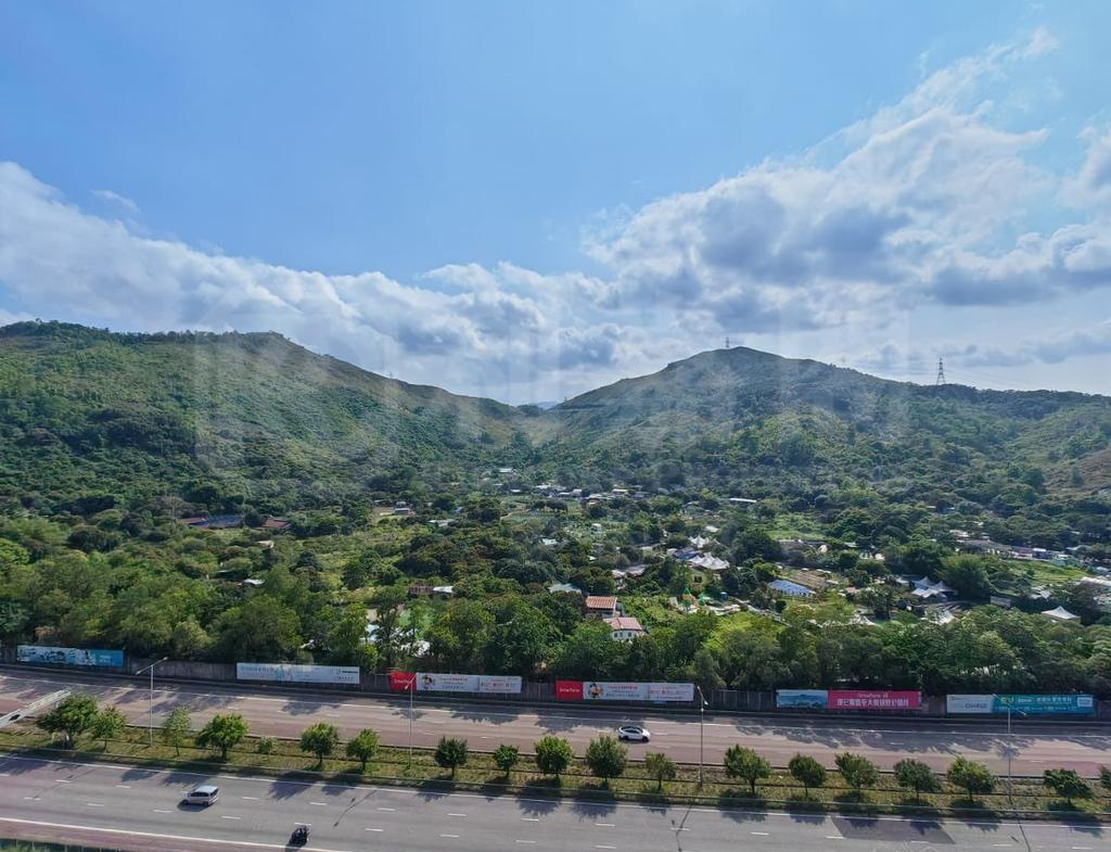 柏瓏 1A期 柏瓏 I 6座 - 28NTS – 香港北部都會區