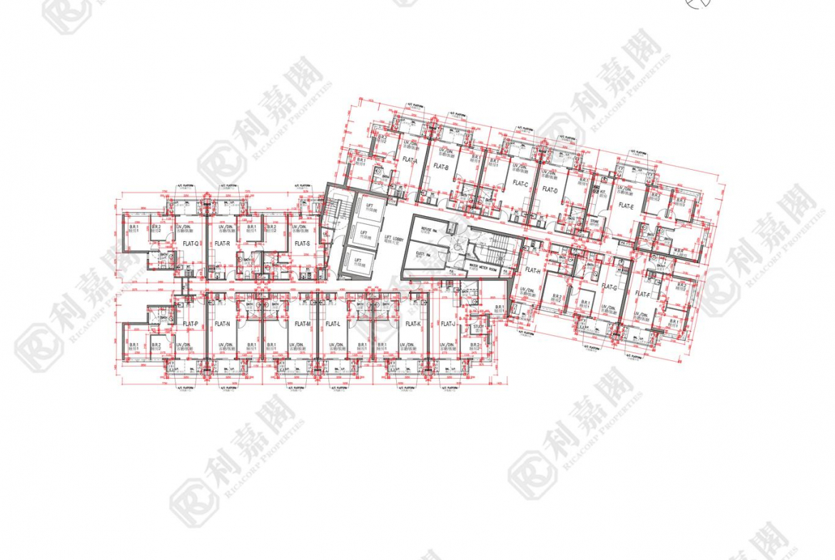 雨後 - 28NTS – 香港北部都會區