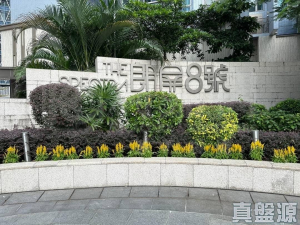 朗屏8號 1座 - 28NTS – 香港北部都會區