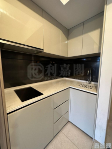 瑧頤 - 28NTS – 香港北部都會區