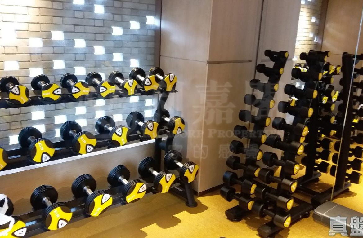 瑧頤 - 28NTS – 香港北部都會區