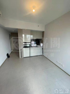 瑧頤 - 28NTS – 香港北部都會區