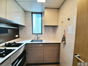 朗屏8號 1座 - 28NTS – 香港北部都會區