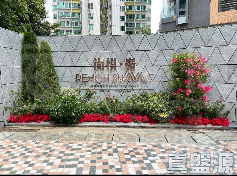 蝶翠峰 5期 尚悅‧嶺 2座 - 28NTS – 香港北部都會區