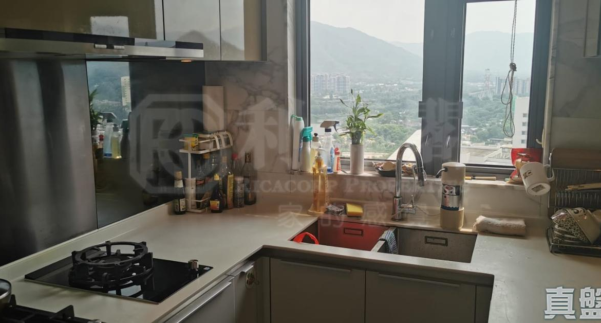 GRAND YOHO 2期 8座 - 28NTS – 香港北部都會區