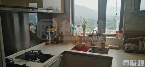 GRAND YOHO 2期 8座 - 28NTS – 香港北部都會區