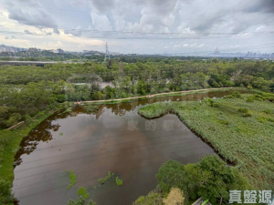 175970033738eb3e1c-82cf-490b-9574-9e1d7dd6c6bf.jpeg 峻巒 1C期 PARK YOHO SICILIA 1B座 - 28NTS – 香港北部都會區