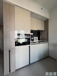 瑧頤 - 28NTS – 香港北部都會區