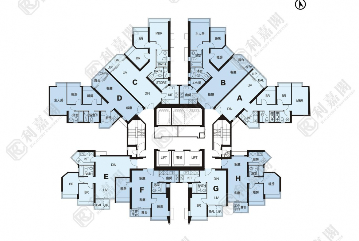藍天海岸 3期 影岸‧紅 A座 (7座) - 28NTS – 香港北部都會區