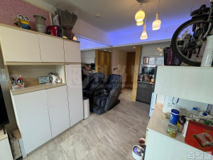 峻巒 1C期 PARK YOHO SICILIA 1B座 - 28NTS – 香港北部都會區