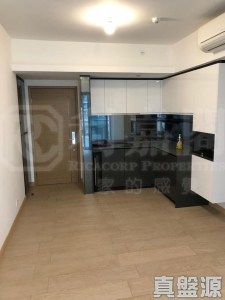 東環 1期 3B座 - 28NTS – 香港北部都會區