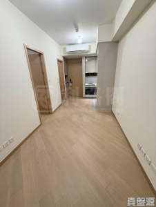 柏瓏 1B期 柏瓏 II 1座 - 28NTS – 香港北部都會區