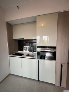 瑧頤 - 28NTS – 香港北部都會區