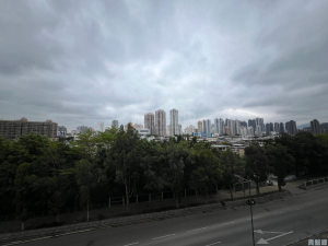 瑧頤 - 28NTS – 香港北部都會區