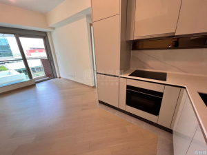 柏瓏 1A期 柏瓏 I 6座 - 28NTS – 香港北部都會區