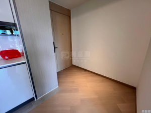 柏瓏 1A期 柏瓏 I 6座 - 28NTS – 香港北部都會區