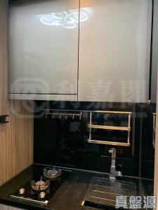 蝶翠峰 5期 尚悅‧嶺 2座 - 28NTS – 香港北部都會區