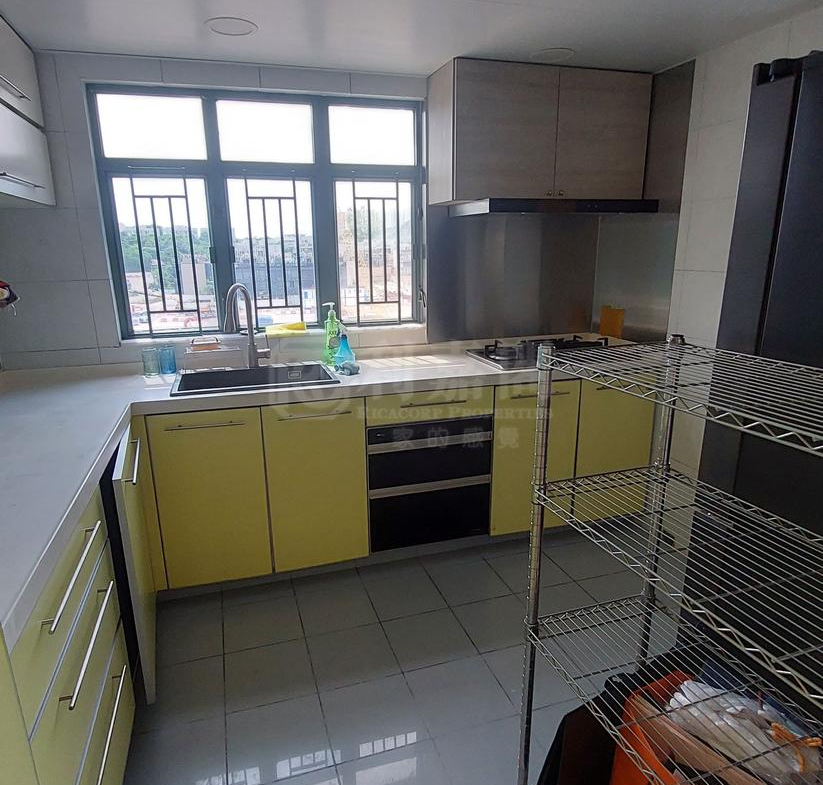 柏麗豪園 1座 - 28NTS – 香港北部都會區