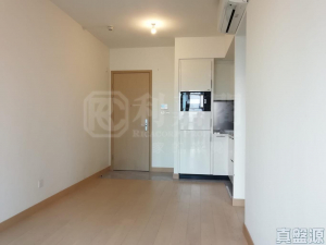 朗屏8號 1座 - 28NTS – 香港北部都會區