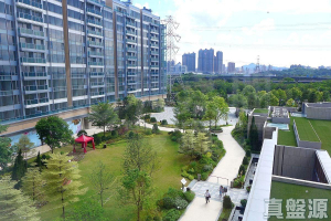 峻巒 2C期 PARK YOHO MILANO 35B座 - 28NTS – 香港北部都會區