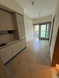 柏瓏 1A期 柏瓏 I 3座 - 28NTS – 香港北部都會區