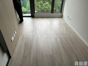 薈藍 - 28NTS – 香港北部都會區